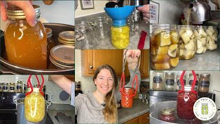 7 Canning Recipes That Save Us the MOST Money [upl. by Enaujed]