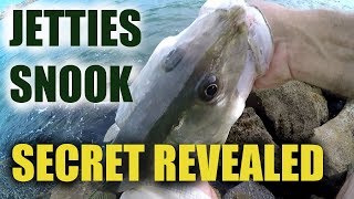 Jetties Snook Fishing Catching Them on Pinfish [upl. by Eneleahs]