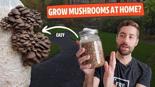 How To Get Started Growing Mushrooms At Home From EASY to HARD [upl. by Blondell490]