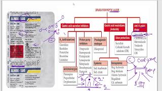 Amoxicillin  Azithromycin  Ciprofloxacin  Cefpodoxime  Moxifloxacin  Cotrimazole  Mechanism [upl. by Javier467]