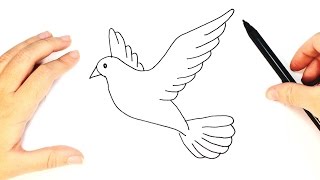 How to Draw a Dove for Kids  Dove Drawing Tutorial [upl. by Ursas]