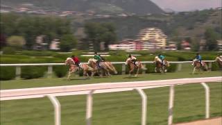 Haflinger Galopprennen in Meran [upl. by Eenobe]