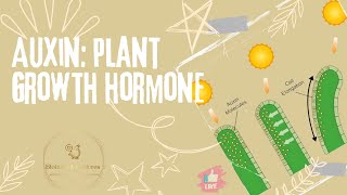 Auxin Structure Types Transport and Physiological Functions [upl. by Yelats231]