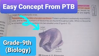 Ribosomes  Structure and Functions of Ribosomes  Class 9th  Biology  Chapter4 [upl. by Reerg827]