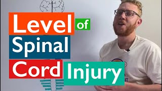 Spinal Cord Injury  Levels of injury [upl. by Ihcalam]