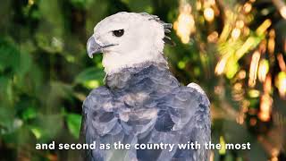 Chiribiquete National Park Heart of the Amazon [upl. by Norword222]