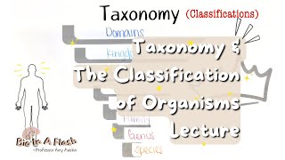 Taxonomy amp The Classification of Living Things  Bio in a flash [upl. by Hutchins]