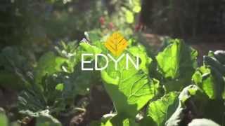 Edyn Garden Sensor 2 [upl. by Ainatnas42]