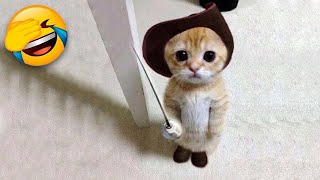 Funniest Cats and Dogs 🐶🐱  Funny Animal Videos 9 [upl. by Karalee]