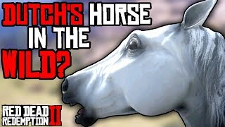 Ultra Rare Where To Find Dutchs Horse White Arabian  Red Dead Redemption 2 [upl. by Onitnevuj862]