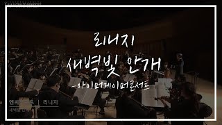 FLASIC 오케스트라로 듣는 리니지 OST  quot새벽빛 안개quot [upl. by Rabkin884]