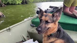 Catfishing on Reelfoot lake [upl. by Nagaem]