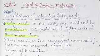 Lipid and Protein Metabolism Unit 3 Semester 4 paper 10 bsczoology biochemistry [upl. by Jacy]