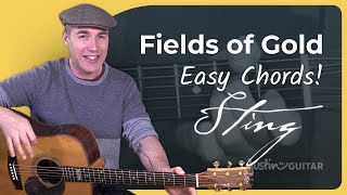 How to play Fields Of Gold by Sting  Easy Guitar [upl. by Uis573]