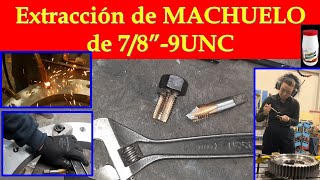 EXTRACCION DE MACHUELO Consejos para evitar que se rompa un macho y un TIP de como sacarlo [upl. by Kaplan84]