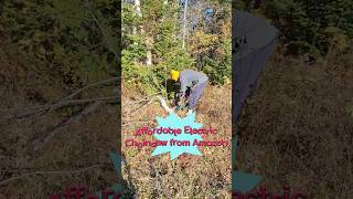 Cutting Trees with a cheap electric Chainsaw from Amazon [upl. by Tiloine]