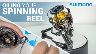 How to Oil your Spinning Reel [upl. by Graubert]