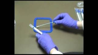 Surface Sampling Swab [upl. by Ynoffit]