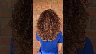 Golden copper highlights on curly hair curlyhaircare curlyhairroutine curlspecialist [upl. by Enawyd555]