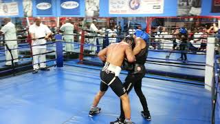 Teofimo Lopez Sparring Gervonta Davis [upl. by Ocsisnarf377]