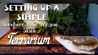 Setting Up an Enclosure for a Northern Blue Tongue Skink [upl. by Eylrac755]