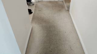 Steam Cleaning Dirty Carpets [upl. by Ayahs]