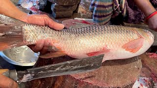 Excellent Cutting Skills  Big Rohu Fish Cutting By Expert Fish Cutter [upl. by Blackwell182]