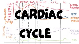 Cardiac Cycle Simplified With Diagrams  Physiology  Lectures by Omer [upl. by Jacobba]