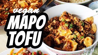 VEGAN MAPO TOFU RECIPE  Marys Test Kitchen [upl. by Evelin268]