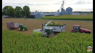 2020 Corn Silage Harvest at Congress Lake Farms [upl. by Kruse]