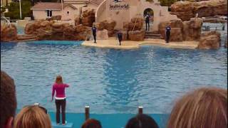 Dolphin Show at Sea World San Diego 09 [upl. by Annaierb]