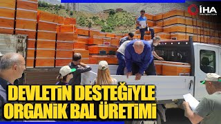 Devletin Desteğiyle Organik Bal Üretimi ve Arı Besiciliği Yaygınlaşıyor [upl. by Abie411]