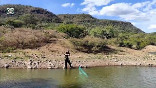 salieron tilapias gigantes para mi cumpleaños en la sierra [upl. by Seiber]