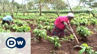 The Mubende coffee plantation and the bitter taste of eviction  DW Documentary [upl. by Osnerol]