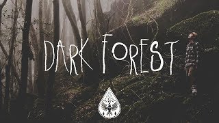 Dark Forest 🦇  An IndieFolkAlternative Playlist Halloween 2017 [upl. by Palecek560]