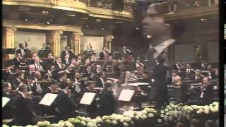 Schubert  Symphony No 8 in B minor D 759  Muti [upl. by Nica]