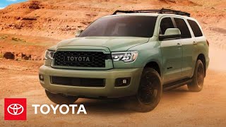 2022 Sequoia Overview  Toyota [upl. by Cia]