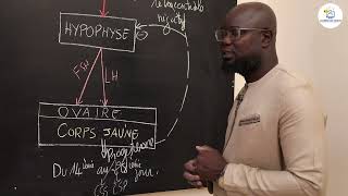 Cours Tle S1ampS2 SVT Résumé de cours  Régulation du fonctionnement des appareils génitauxSuite 5 [upl. by Jeramie]