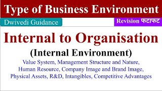 Type of Business Environment types of environment Internal environment external environment [upl. by Derreg875]