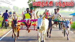 1புதுக்கோட்டைமா பயிற்சி பந்தயம்07042024 [upl. by Aydin]