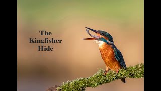 The Kingfisher Hide [upl. by Benton]