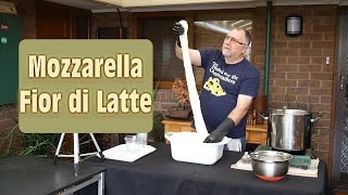 How to Make Real Mozzarella At Home [upl. by Jarl]