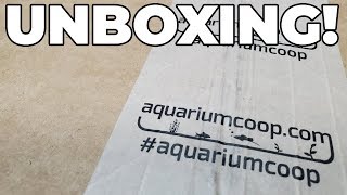 Aquarium CoOp Unboxing [upl. by Syverson]