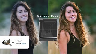 How to Use the Curves Tool in GIMP [upl. by Tiossem]