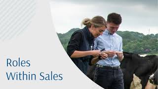 Wynnstay Careers within Sales [upl. by Haral711]