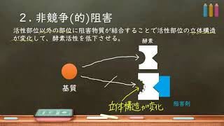 おうち生物 4 酵素（阻害編）競争的阻害・非競争的阻害・アロステリック阻害 [upl. by Zahc296]