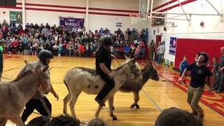 Donkey Basketball Highlights [upl. by Nimesh718]