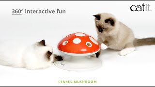 Catit  Senses Mushroom [upl. by Anawt]