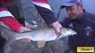 MONDO PESCA  APERTURA TROTA 2021  TUTORIAL PESCA A DRAGARE  FIUME ADDA LODI  sportfishing [upl. by Ardnuasac]