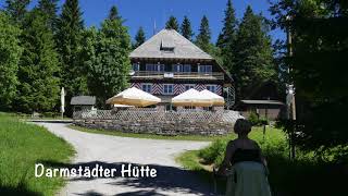 Nationalpark Schwarzwald  RuhesteinDarmstädter Hütte [upl. by Jacobo]